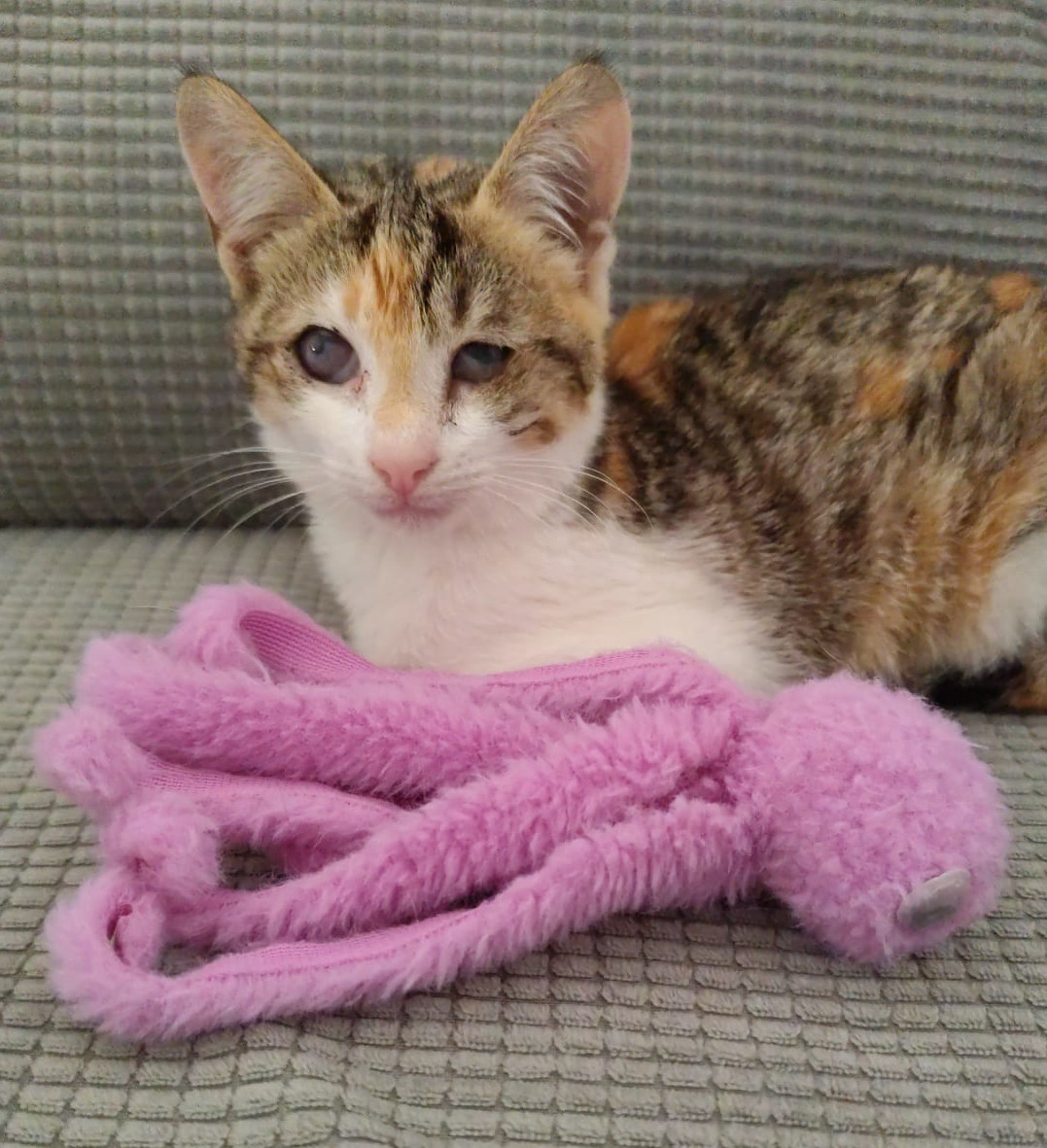 Cleo